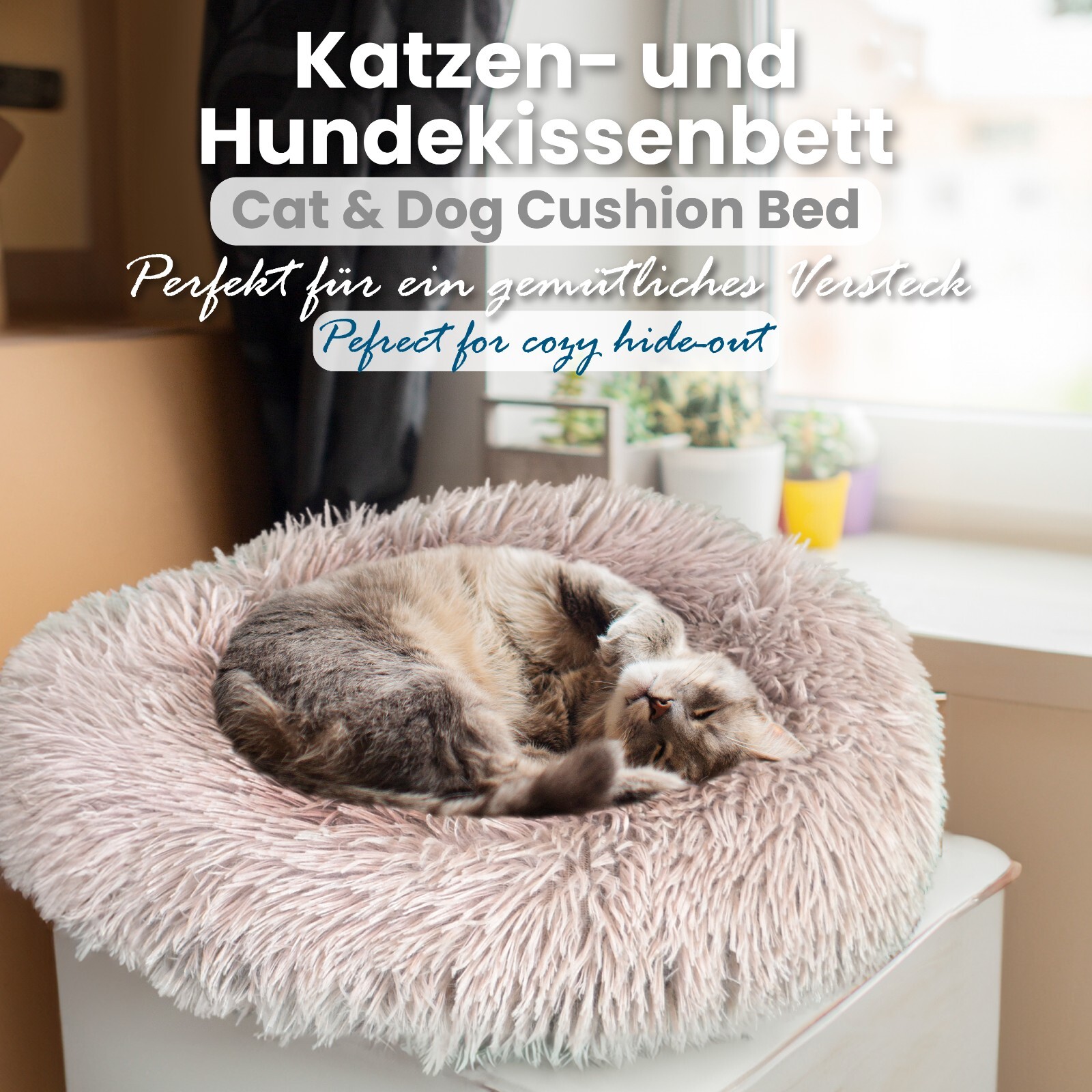 Bild 5 von 16