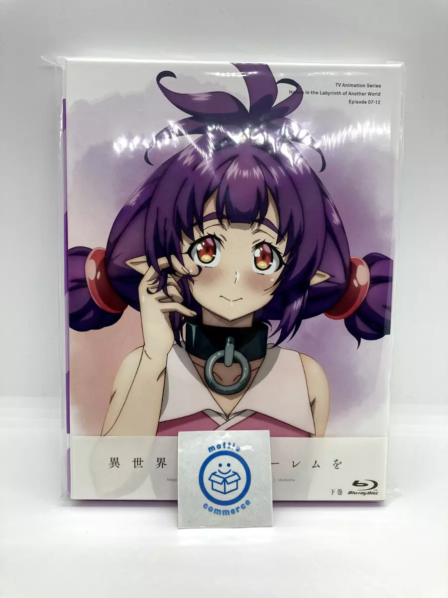 New Harem in the Labyrinth of Another World Blu-ray Box Vol.2