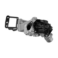 Pierburg Agr-Ventil Mit Dichtung (7.00578.12.0) FüR Ford Mondeo IV Fiat Ulysse