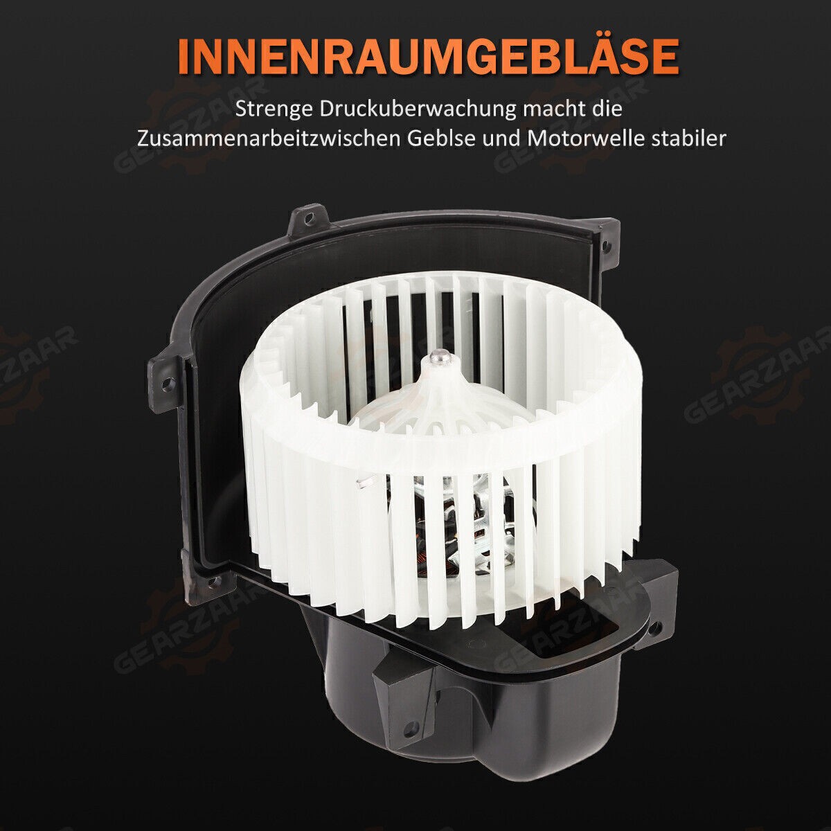 Bild 5 von 15