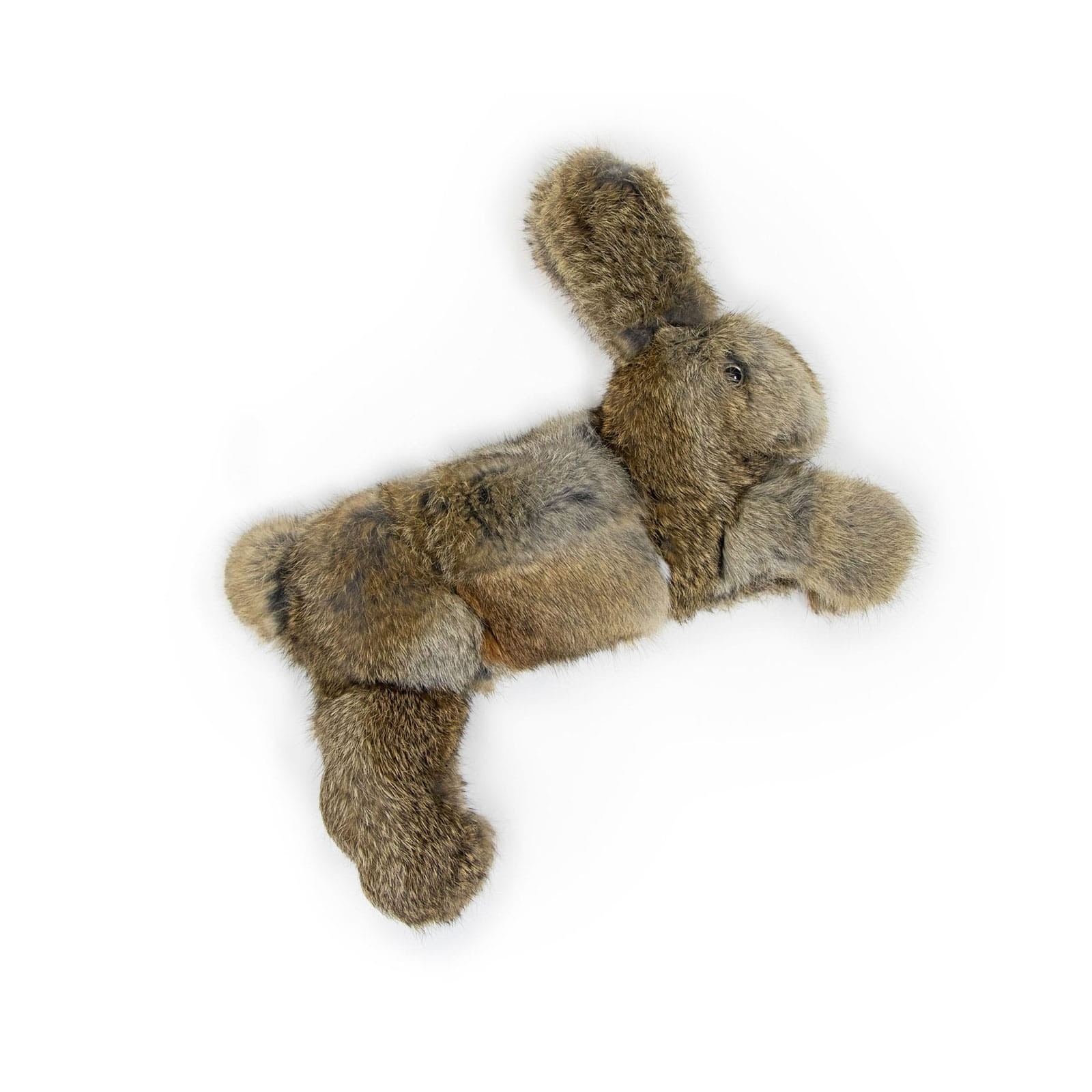 Dog & Field Real Feel Rabbit Dummy 1lb | Original Clone Gundog Training Dummy