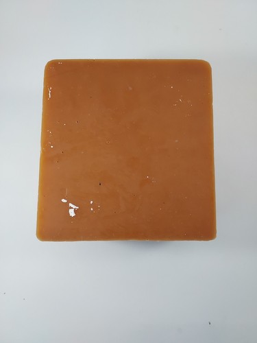 Custom Made Rubber Mold Mountain Lion FOOTPRINT Paw Print Cougar Puma Arizona #3 - Picture 10 of 10