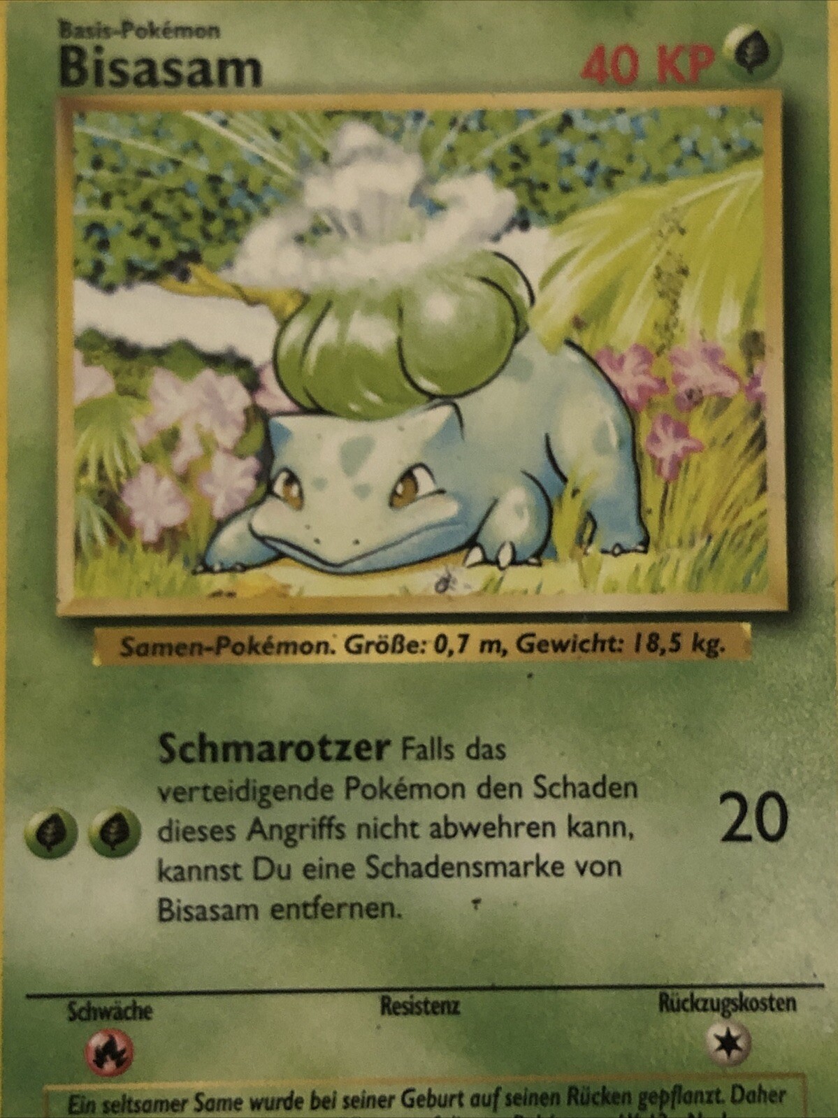 Bild 3 von 4