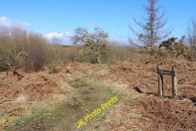 Foto 12x8 Pfad zum Loch Mackie Auchencairn\/NX7951 Dem Pfeil folgen. c2015
