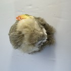 Bild 12 von 15