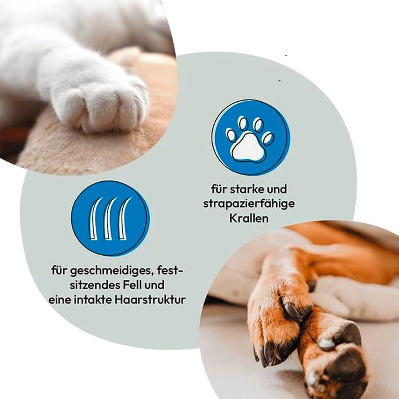 L’Originale Biotin Forte 400 Compresse: Rinforza Artigli e Pelo Cani e Gatti - 2