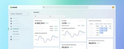 Professioneller Shopify ecommerce Store
