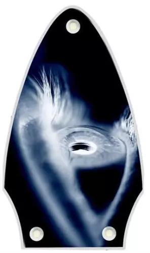 Truss Rod Cover Graphic compatible with Gibson Flying V Guitar Eye Black