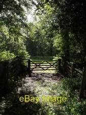 Photo 6x4 Gate near Bridewell Fishpond Bottom Hawkchurch Bridleway 14 pas c2007