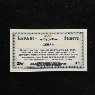2020 Topps Allen & Ginter Chrome Mini Safari Sights #SSC-11 Zebra