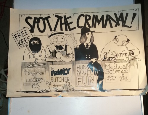 Vintage Spot The Criminal A2 Poster Animal Liberation Front Rights ALF - Picture 1 of 7