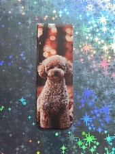 ZWERG - PUDEL -- MAGNETISCHES  LESEZEICHEN -- BOOKMARK --Give away-- Hund --Buch