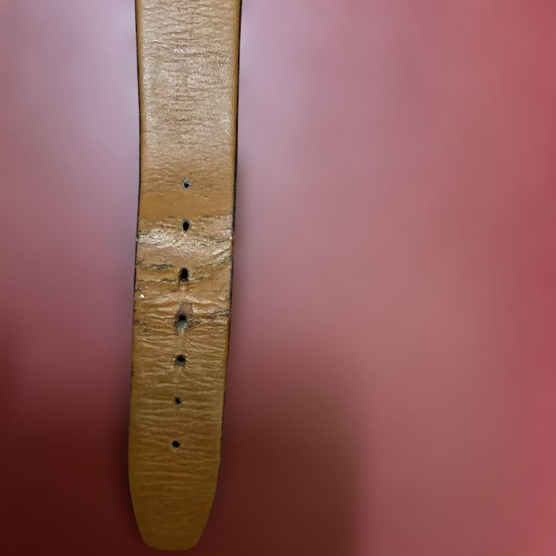 Orient ORIENT Automatic Manual Wind Wristwatch Go… - image 3