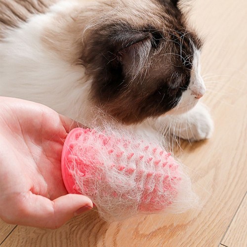 Kitten Hair Removal Brush Cats Scratching Massager Pet Scratcher Bath Brush - Picture 10 of 15