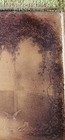 Bild 8 von 24