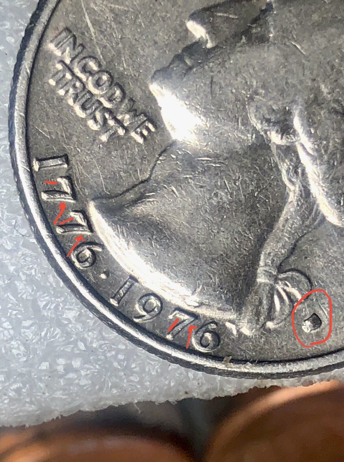 Picture 8 of 8