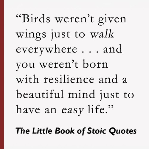 The Little Book of Stoic Quotes: Philosophy for a Meaningful and Courageous⭐⭐⭐⭐ - Imagen 8 de 8