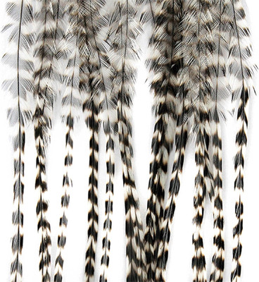 Whiting 100 Pack Hackle   Premium Dry Fly & Small Fly Tying Feathers