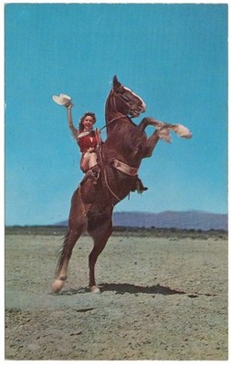 ''Ride 'em Cowgirl'' Woman Atop a Rearing Horse Desert Landscape Vintage Postcard