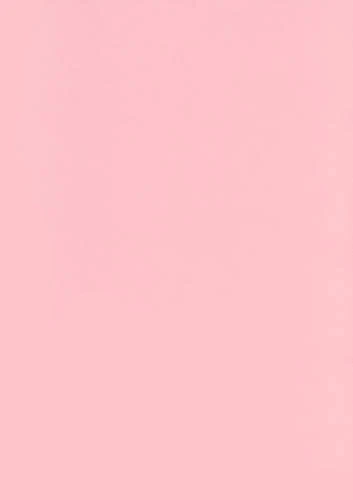 Canson | Cartoncino Bristol A4 21 x 29,7 cm - Colori Assortiti a scelta