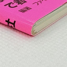 Family Tennis Hisshou Kouryakuhou Guide Book 1986 Nintendo Famicom FC Namco