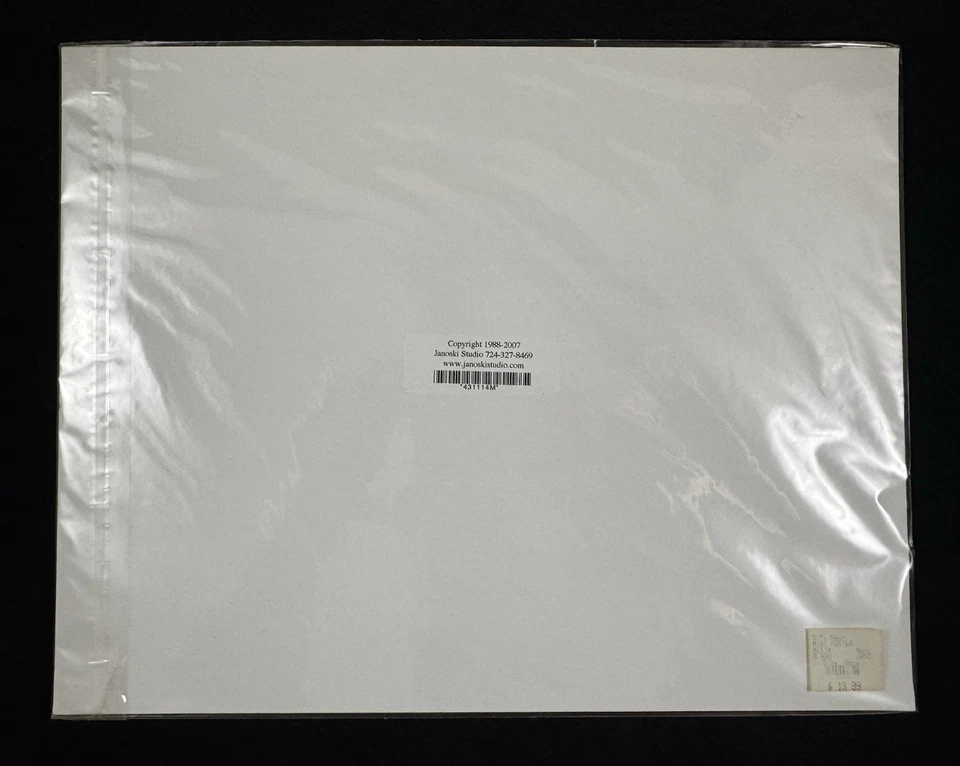 Pittsburgh PNC Park Heinz Field Three Rivers Civic Arena Poster Print (2004) - Image 2 of 2