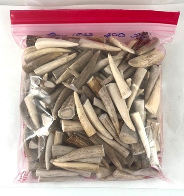 200 -  2 1/2'' DEER & ELK ANTLER TINE TIPS ART, CRAFTS JEWELRY TOGGLES - Bag 1823