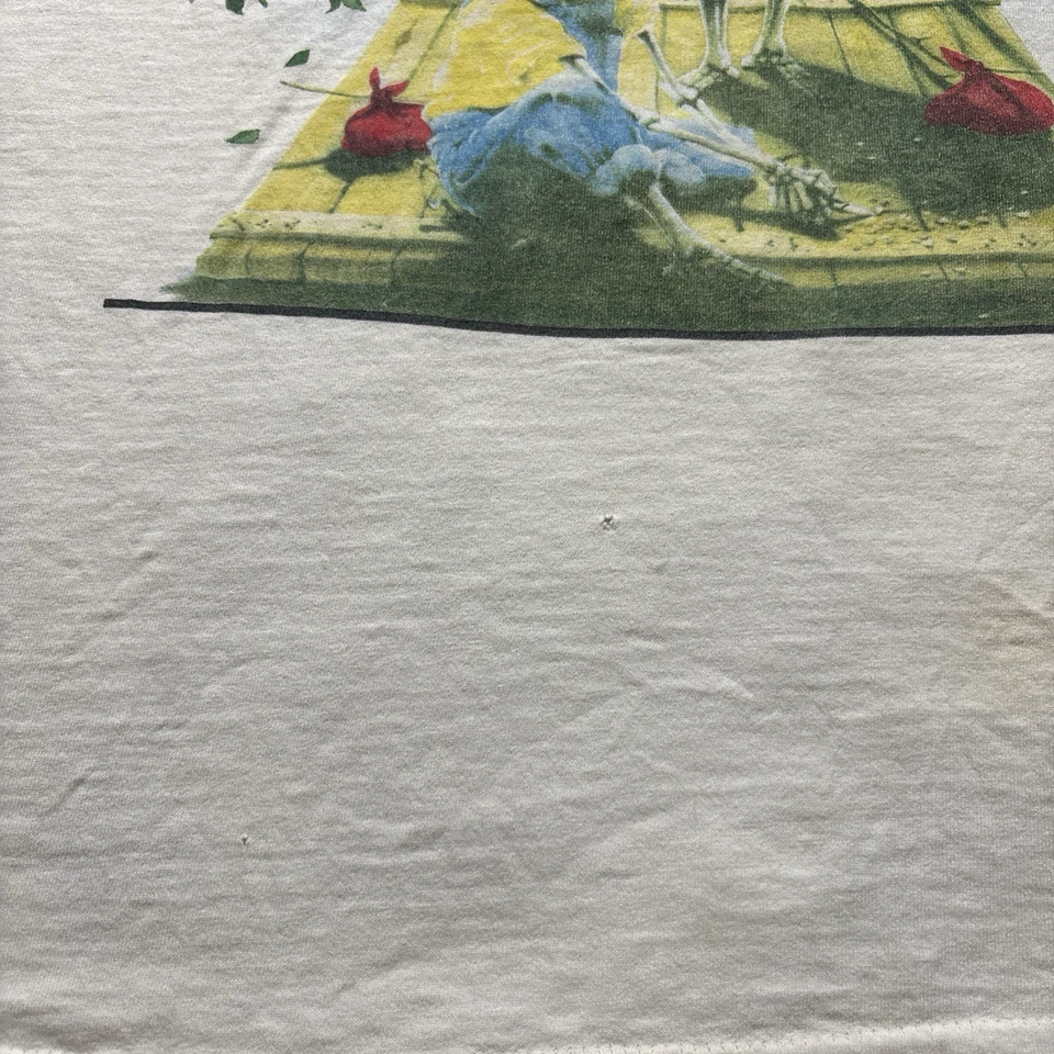 Camiseta De Colección Grateful Dead XL Primavera 1995 Tour Tom Sawyer Huckleberry Finn Foto 2 de 4