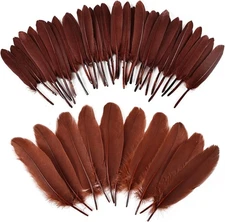 iHUFeather 270pcs Coffee Goose Feathers for Crafts 2 Styles 4-7 inch 