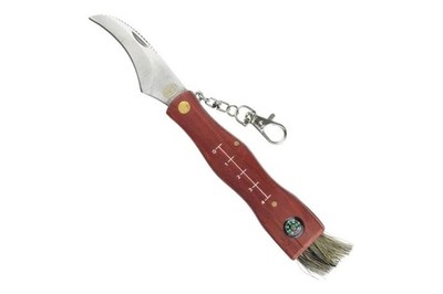 5902944175651 SCK Mushrooms CC-GC105 Pilzsammlermesser mit Zirkel Braun speck