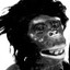 Gristlemonkey Records