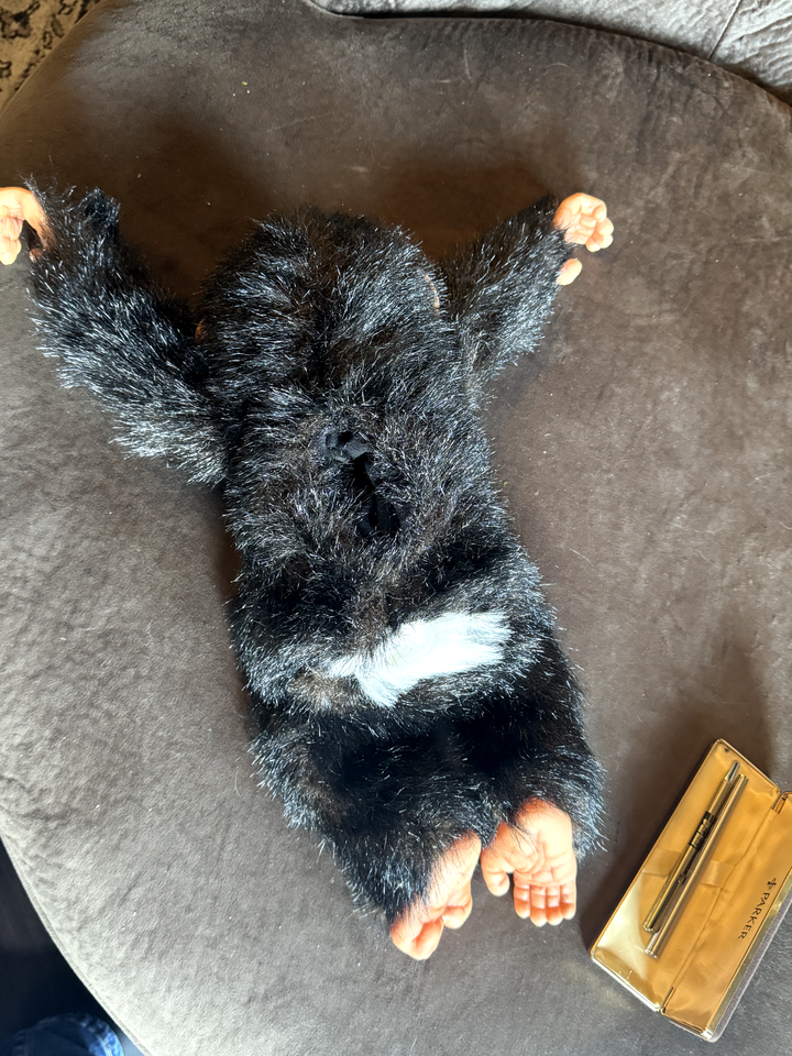 Steve Axtell Chimpanzee VENTRILOQUIST hand puppet monkey life like