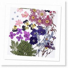 46pcs Real Dried Pressed Flowers and Leaves Herbarium for DIY Resin Jewelry Maki