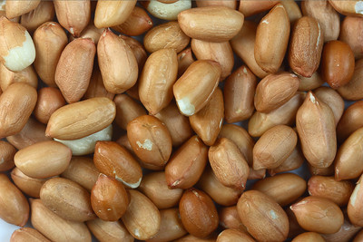 Ganze Erdnüsse - High Energy Wildvogelfutter Futterhaus 100g 500g 1kg 2kg 5kg 10kg 25kg