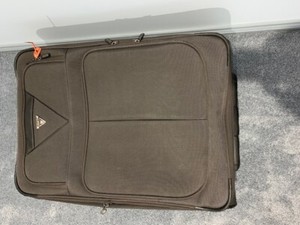 ebay antler luggage