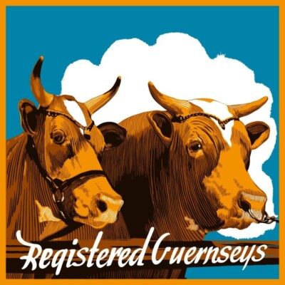Registered Guernsey Cows NEW Sign 40'' Dia. Square USA STEEL XXL Size