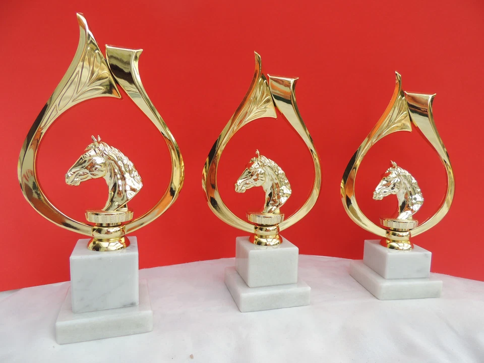 FDPOKALE Pokal Pokale 3er Serie Reiten Pferd gold mit Gravur Neu 2025