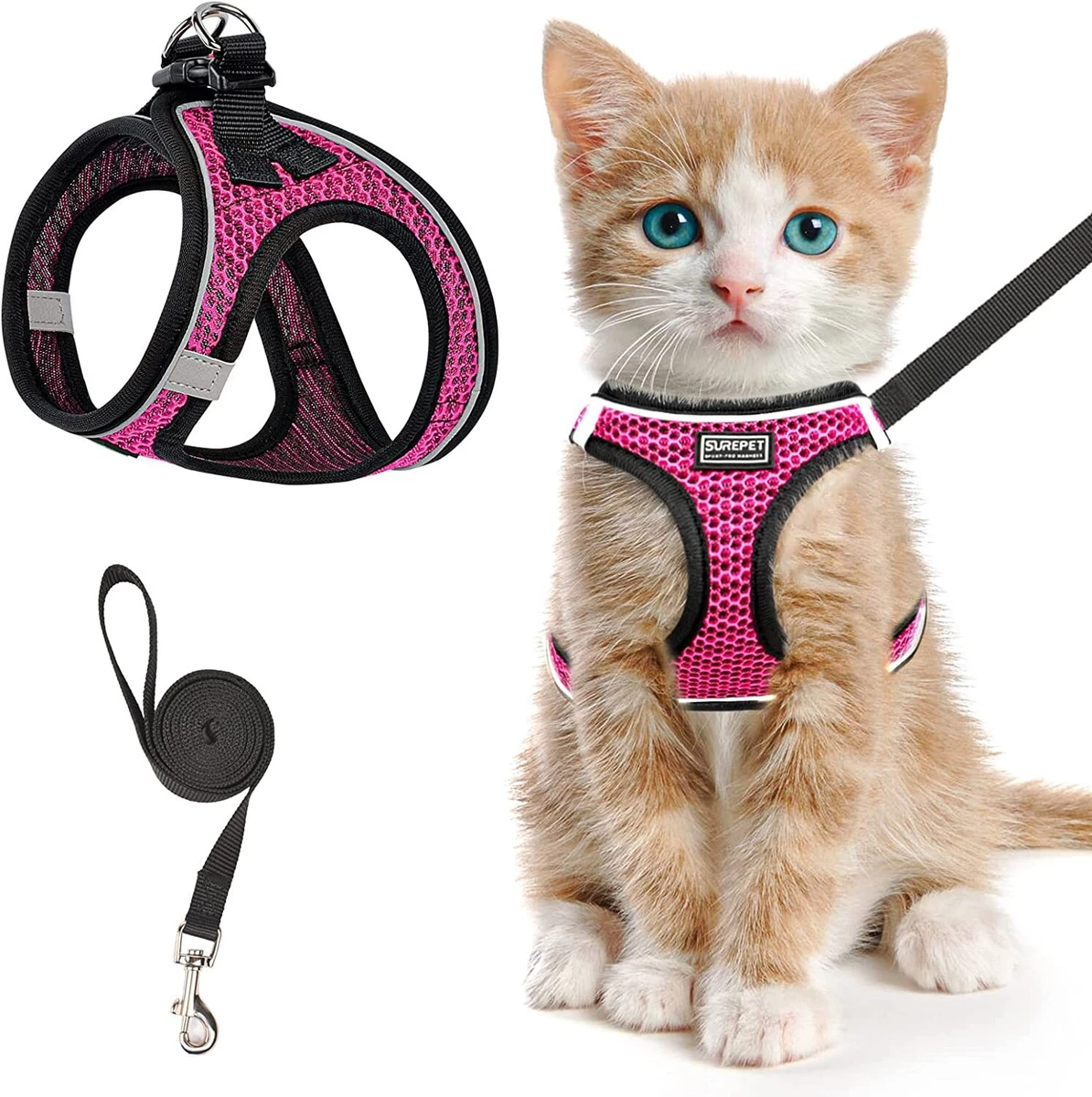 Dog harness on cat sales