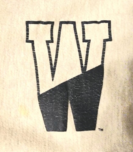 Vintage 80s CHAMPION Reverse Weave UNIV OF WISCONSIN Sweatshirt Grey/Navy XXL
