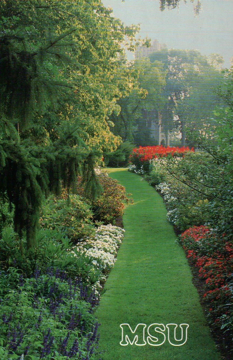 Beal Botanical Gardens Fasci Garden