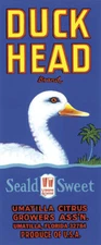 DUCK HEAD SWIM SEALD SWEET UMATILLA FLORIDA FRUIT CRATE LABEL VINTAGE POSTER