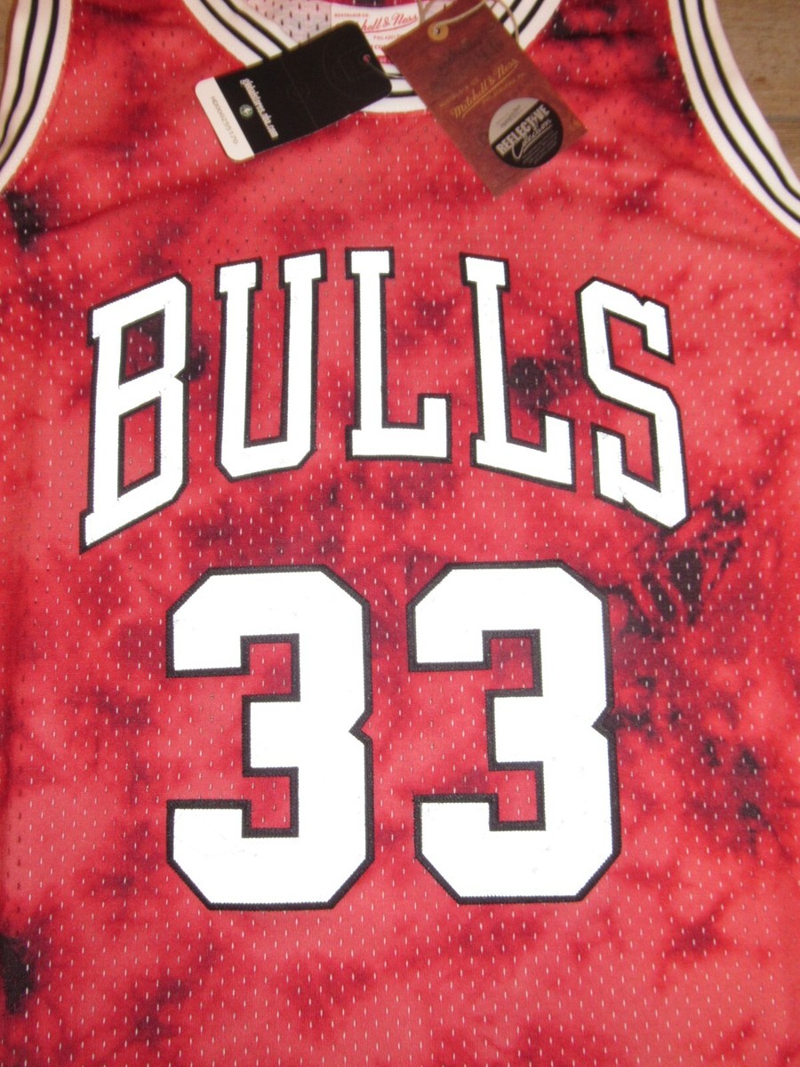 BULLS SCOTTIE PIPPEN 33 ジャージ L Scottie Pippen Chicago Bulls #33 Champion Red Jersey Youth