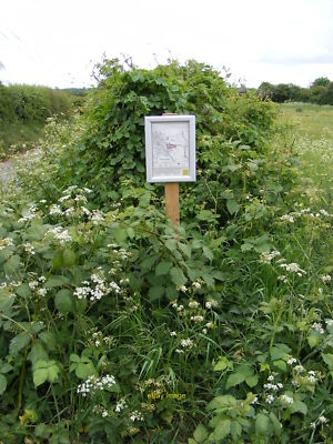Photo 12x8 Stewardship Scheme Map on Mill Lane LinkExternal link c2011