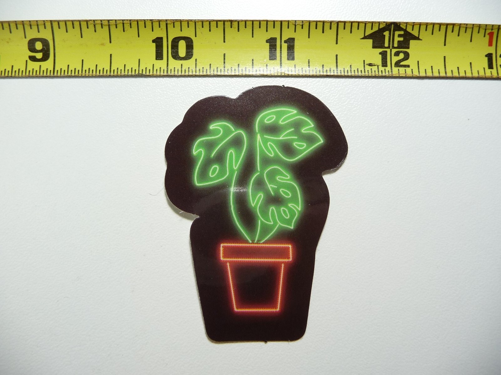 MONSTERAS SWISS CHEESE PLANT NEON STYLE STICKER DECAL COLORFUL FUNNY CELEBRATION