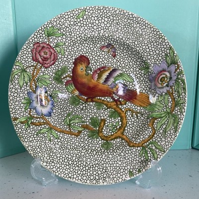 Antiker Copeland Late Spode Papageien Teller exotisches Vogelmuster grüner Maßstab 19,5 cm