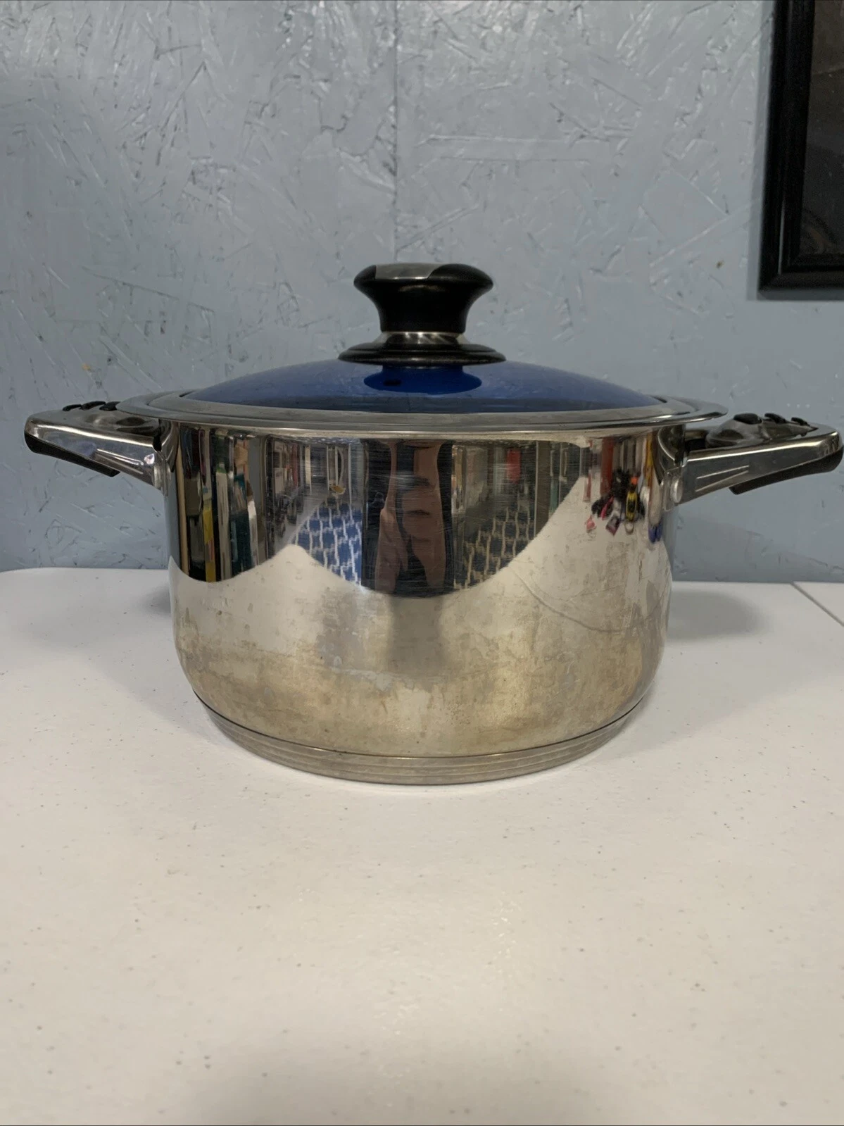 Fischner Hochwertig Edelstahl 7 Qt Stainless Pot W/ Thermo Precision Lid