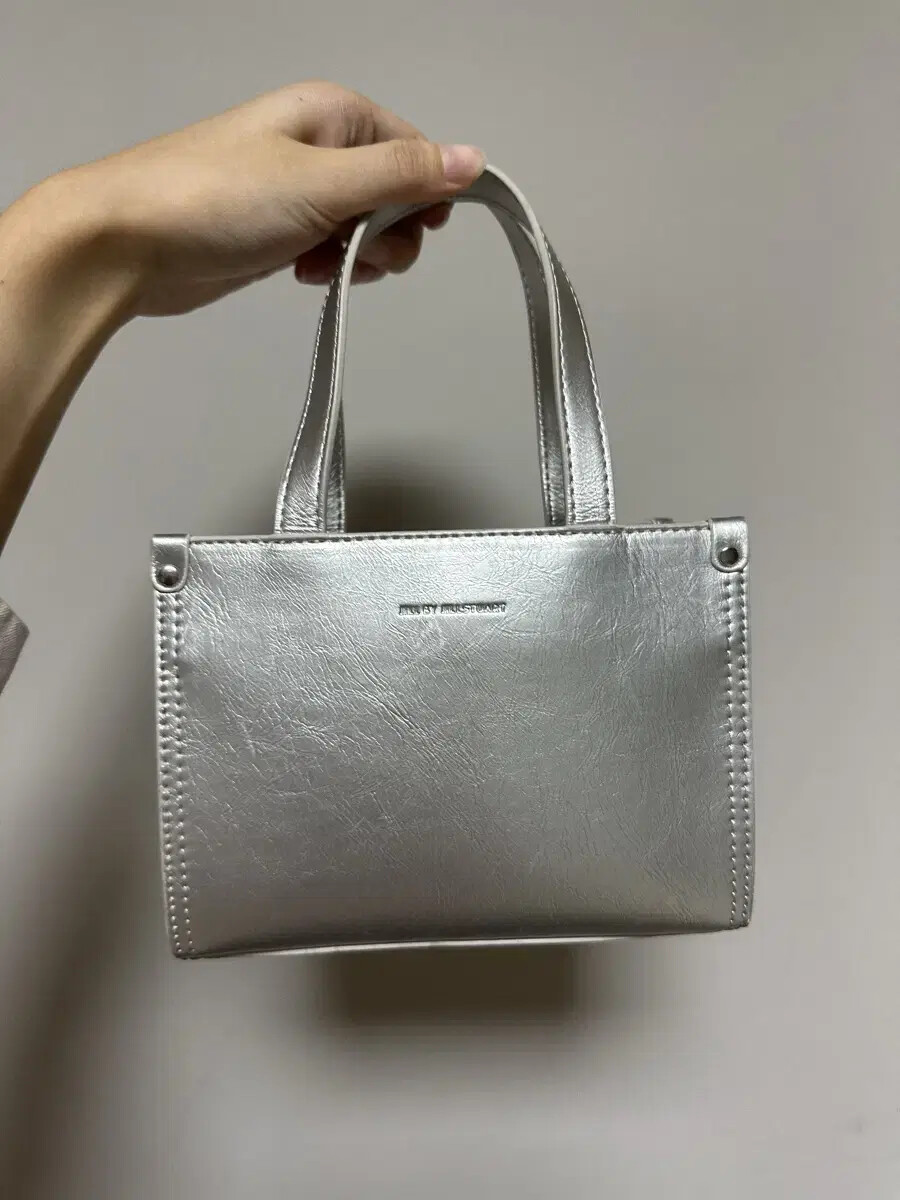 JILL STEWART SILVER NANO CHEMY BAG | eBay