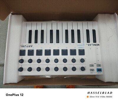 Arturia 230501 MiniLab MKII 25 Slim Keyboard Controller