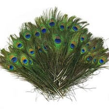 Beautiful Natural Peacock Feathers Eye Peacock Tail Feathers 10"-12" Pack of 20p