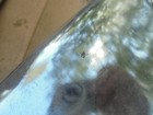 Foto 5 di 6